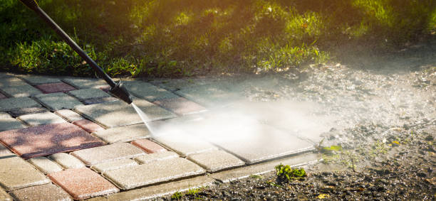 Best Animal Enclosure Cleaning  in Vernon Center, NJ